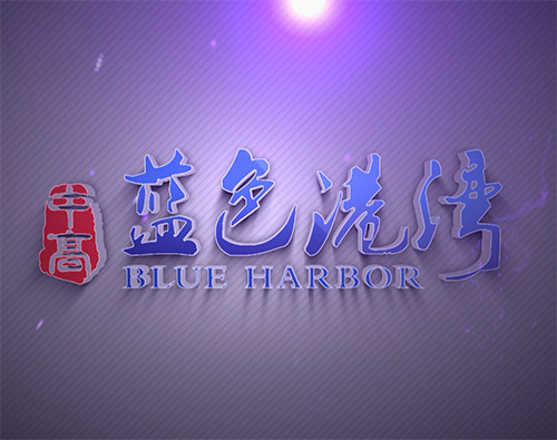 肥城蓝色港湾房地产三维动画宣传片